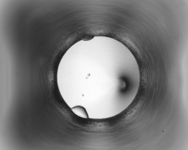 X0000096650260200802261327