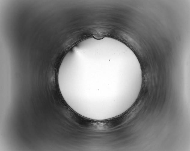 X0000096650265200802261327