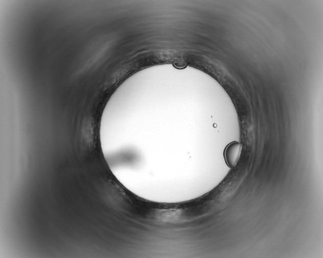 X0000096650266200802261327