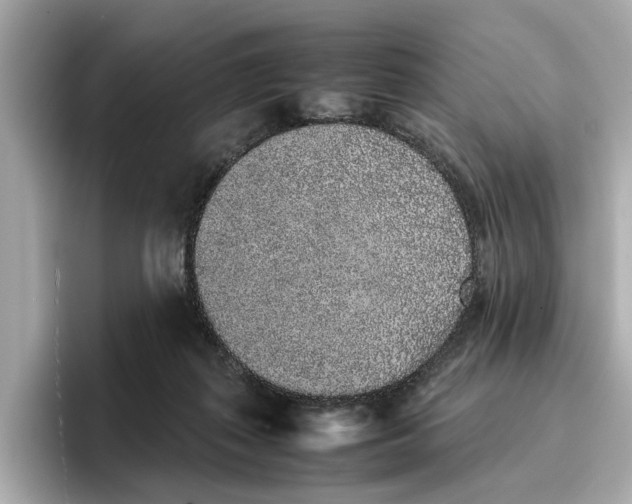 X0000096650267200802261327