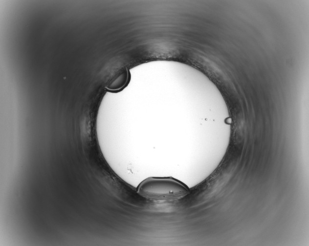 X0000096650268200802261327