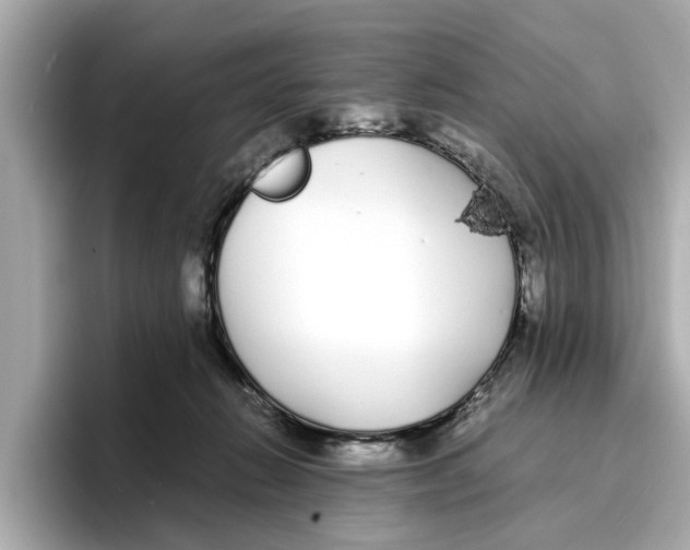 X0000096650270200802261327