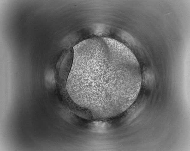 X0000096650272200802261327