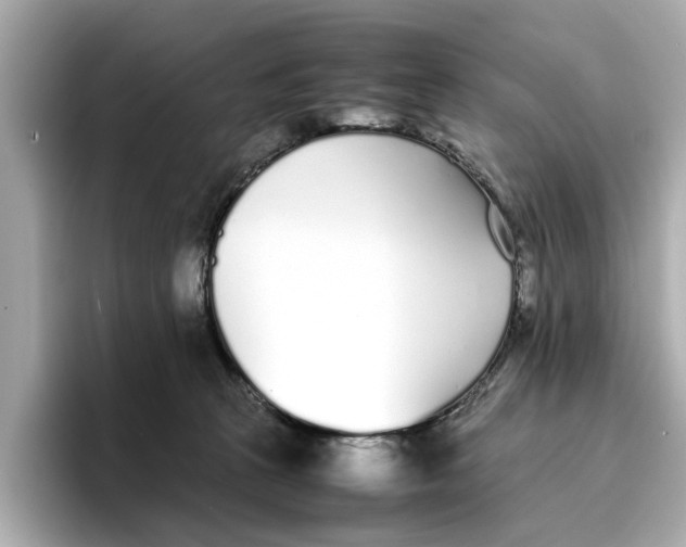 X0000096650273200802261327