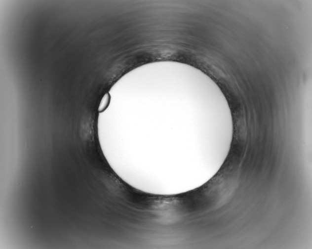 X0000096650274200802261327