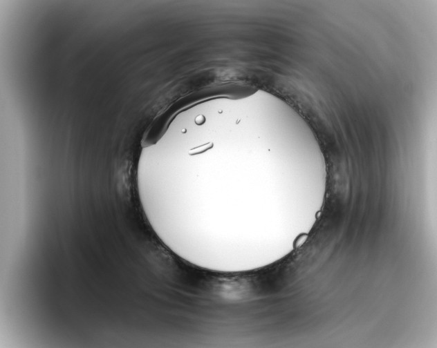 X0000096650275200802261327