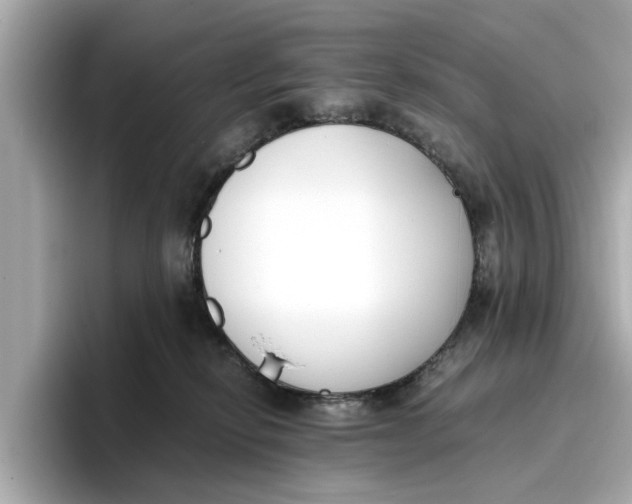 X0000096650278200802261327