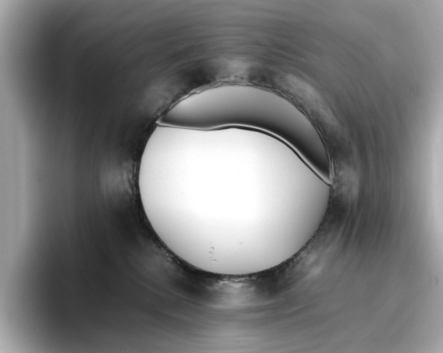 X0000096650280200802261327