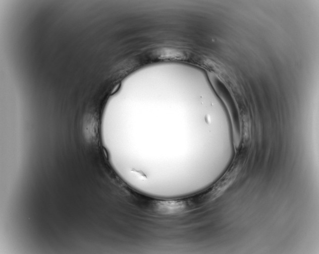 X0000096650281200802261327