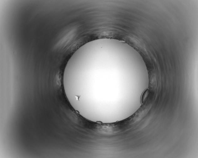 X0000096650282200802261327