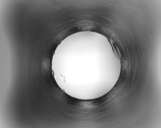 X0000096650283200802261327