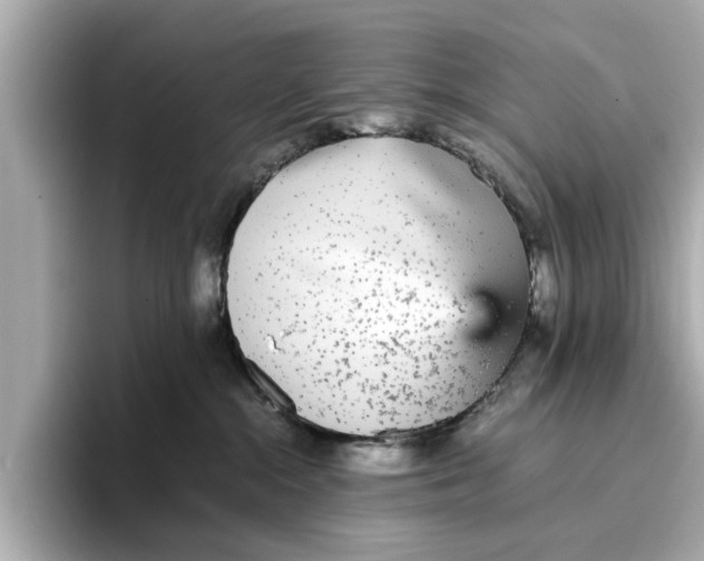 X0000096650284200802261327