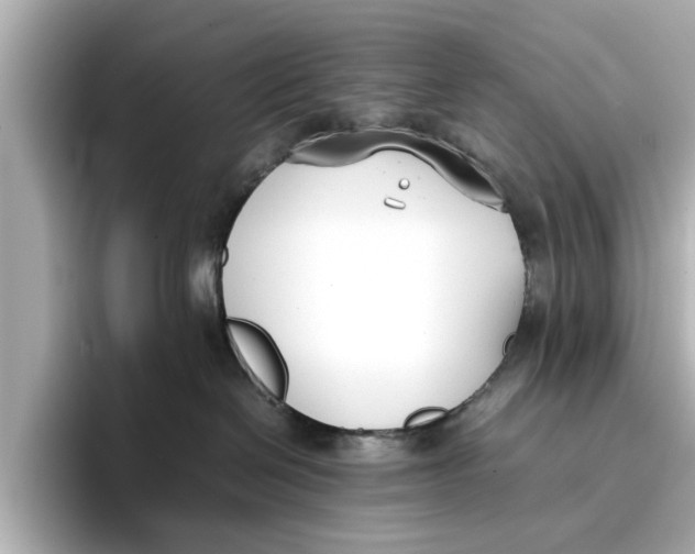 X0000096650286200802261327