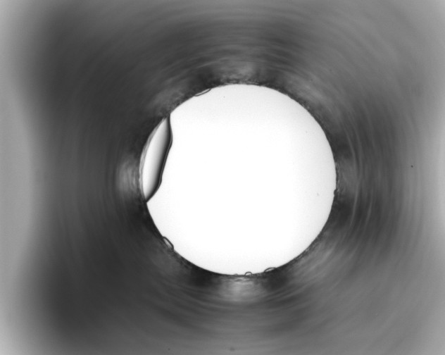 X0000096650287200802261327