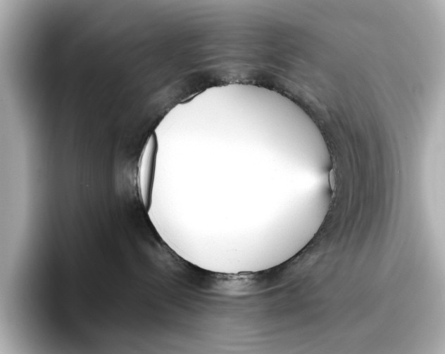 X0000096650288200802261327