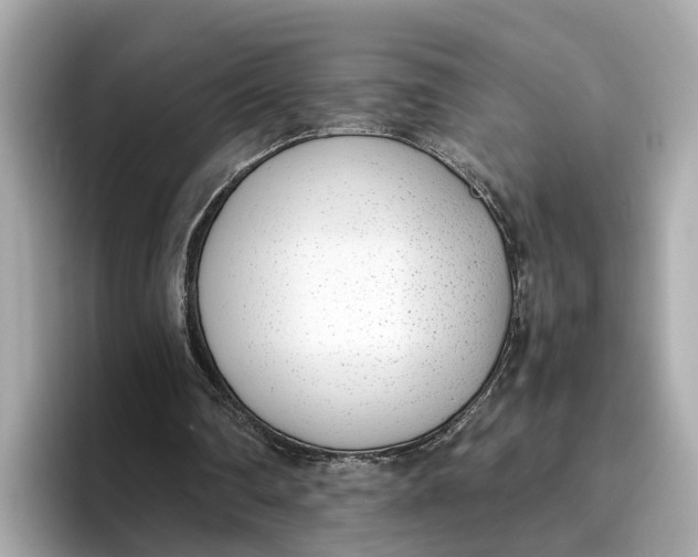 X0000096650290200802261327