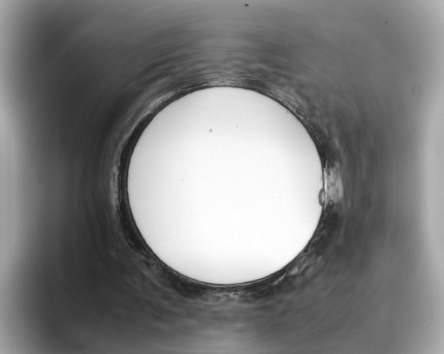 X0000096650291200802261327