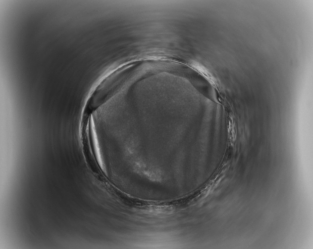 X0000096650292200802261327