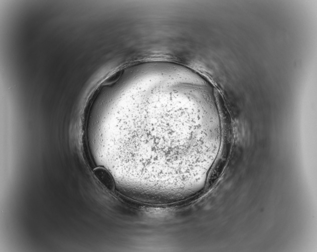 X0000096650293200802261327