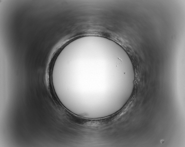 X0000096650294200802261326