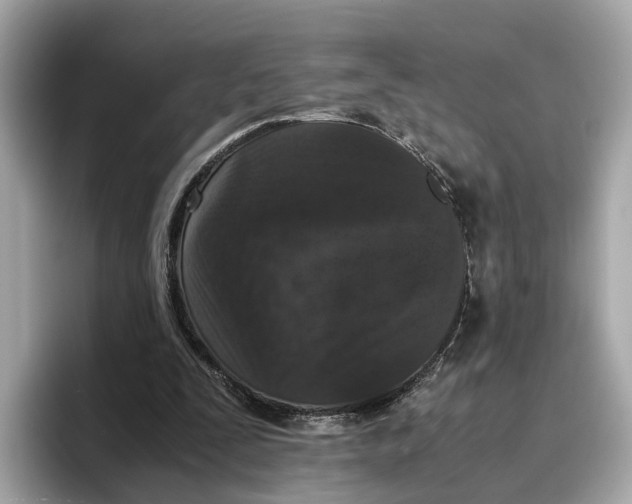 X0000096650295200802261326