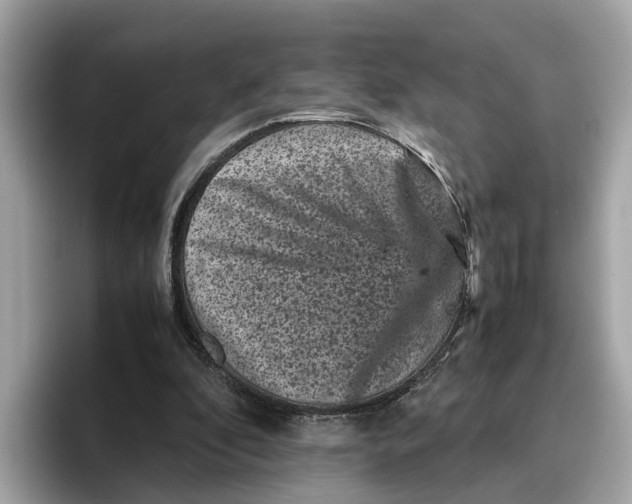 X0000096650296200802261326