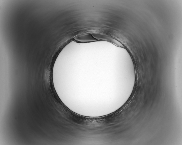 X0000096650297200802261326