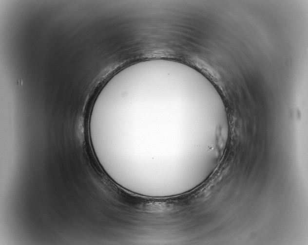 X0000096650298200802261326