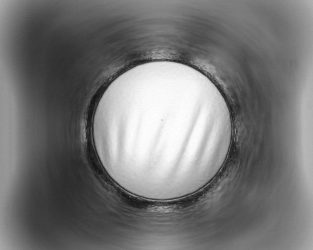 X0000096650299200802261326