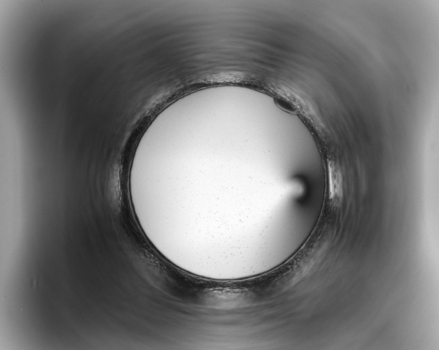 X0000096650300200802261326