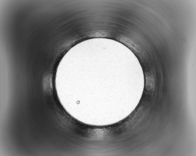 X0000096650302200802261326