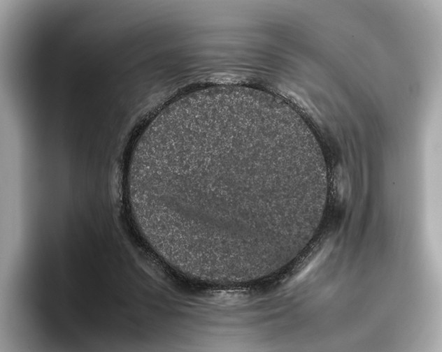 X0000096650303200802261326