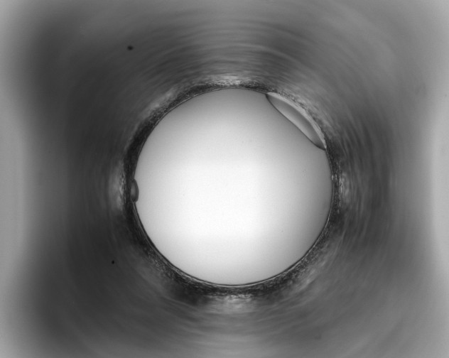 X0000096650304200802261326