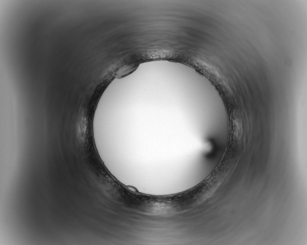 X0000096650308200802261326