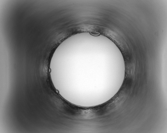 X0000096650309200802261326