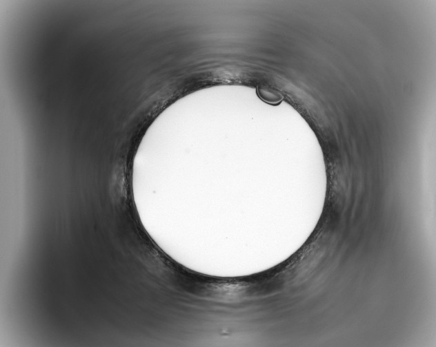 X0000096650313200802261326