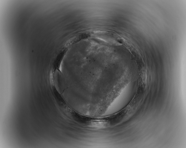 X0000096650316200802261326