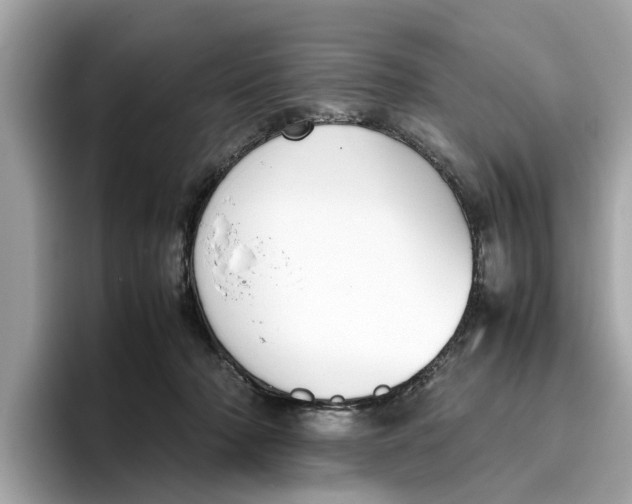 X0000096650318200802261326