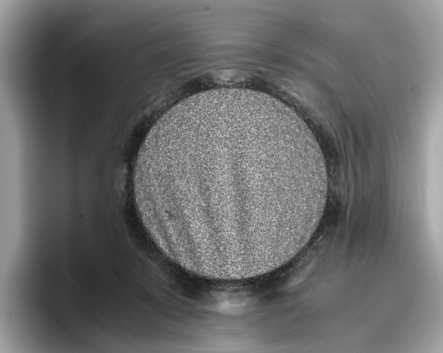 X0000096650319200802261326