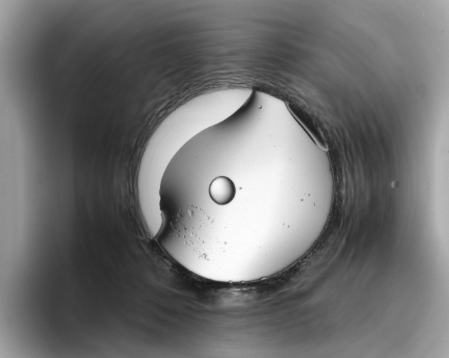 X0000096650320200802261326