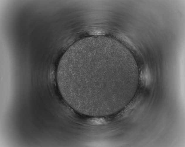 X0000096650322200802261326