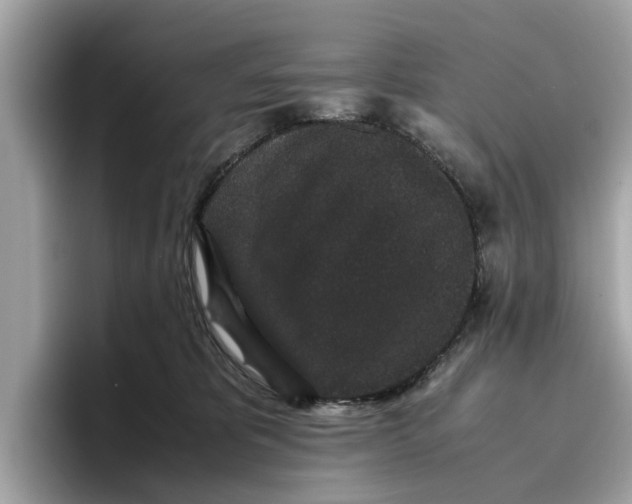 X0000096650325200802261326