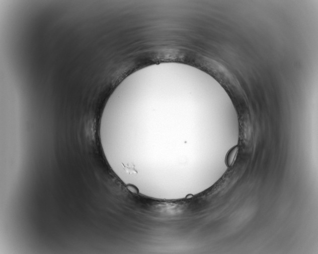 X0000096650326200802261326