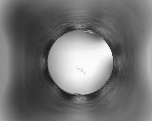 X0000096650327200802261326