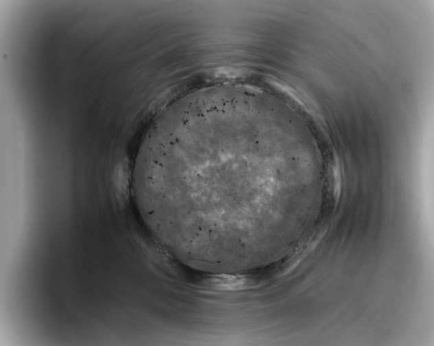 X0000096650328200802261326