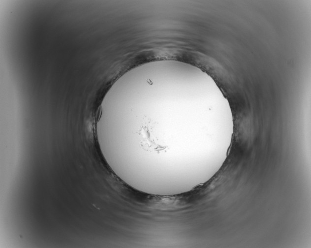 X0000096650329200802261326