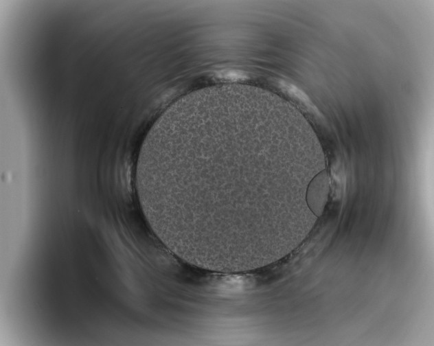 X0000096650330200802261326