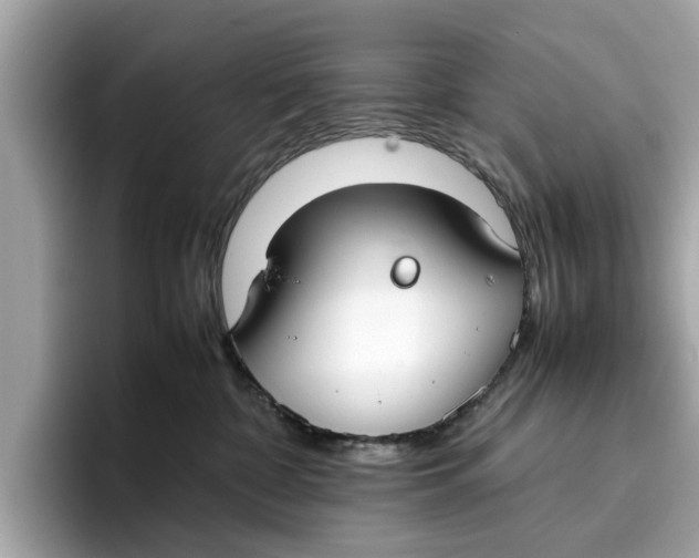 X0000096650332200802261326