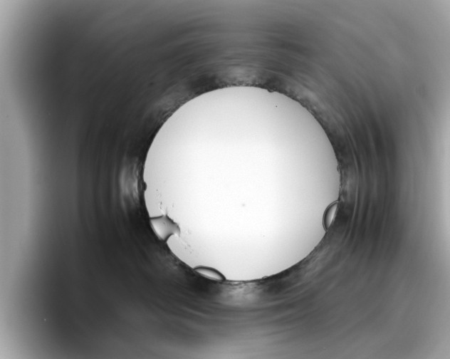 X0000096650334200802261326