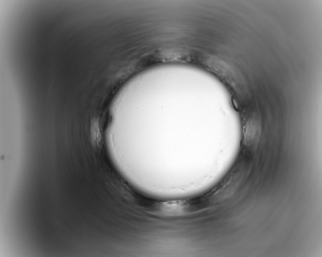 X0000096650335200802261326